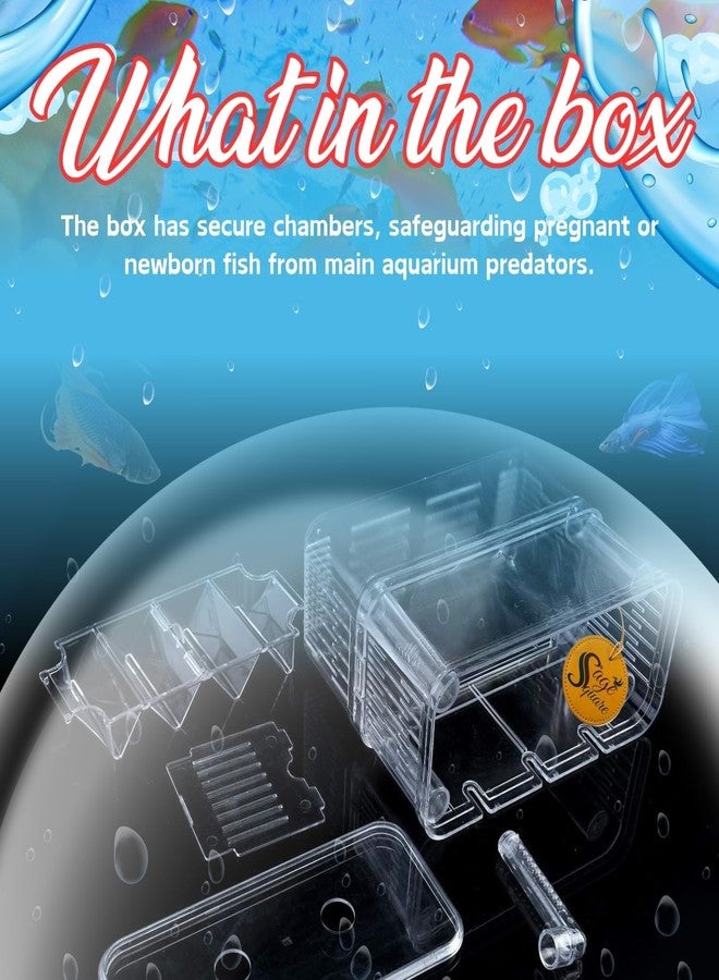 سايج سكوير حجرة عزل الأسماك من سيج سكوير، حل آمن وفعال لفصل الأسماك في أحواض السمك، فاصل للأحواض، حوض للحجر الصحي، حجرة مقسمة لحوض السمك، منطقة حماية لحوض السمك (صغيرة) - Image 5